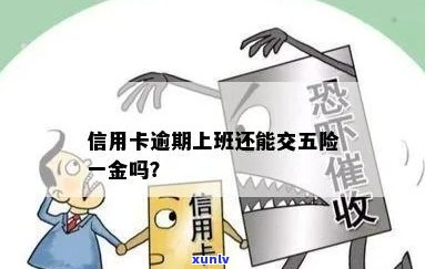 信用卡逾期是否会影响找工作及交五险一金？