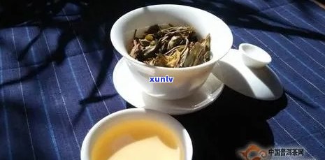 '笋叶包普洱茶的好处：品茗新体验，健益处多'