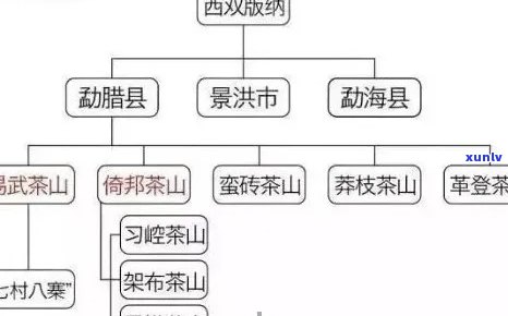 '普洱茶是什么族的：云南普洱茶源自哪个民族，属于哪种茶系？'