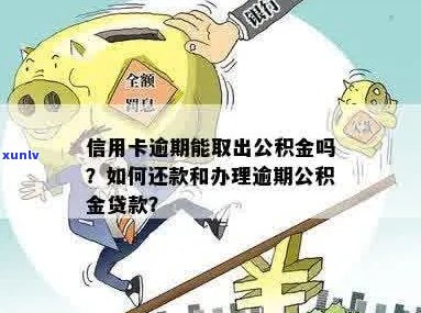 信用卡逾期还款后如何办理公积金贷款？解答用户疑问并提供全面解决方案