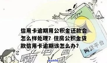 信用卡逾期还款后如何办理公积金贷款？解答用户疑问并提供全面解决方案