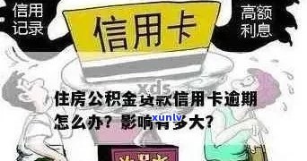 住房公积金信用卡逾期解决方案：如何应对、期还款和恢复信用？