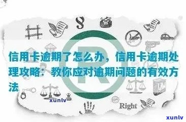 信用卡逾期放款前如何处理？解决用户搜索的全面问题