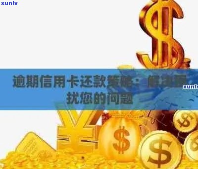 信用卡逾期放款前如何处理？解决用户搜索的全面问题