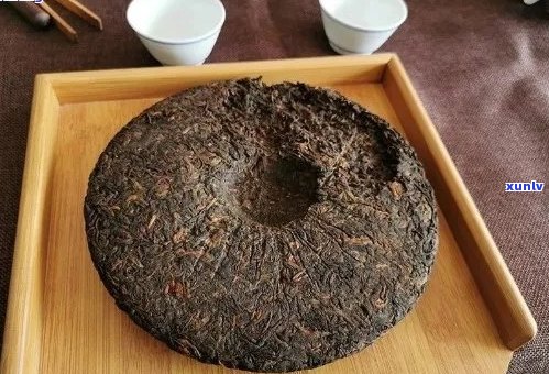 普洱茶膏与普洱茶饼：哪种更适合你？全面对比分析与选择指南