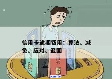 逾期信用卡还款策略：如何避免罚金并提前偿还债务