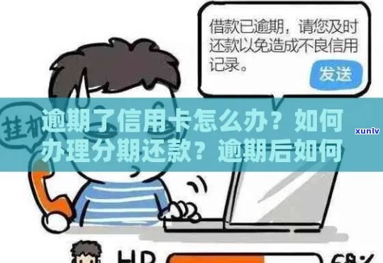 逾期了信用卡怎么办？如何办理分期还款以恢复正常使用？