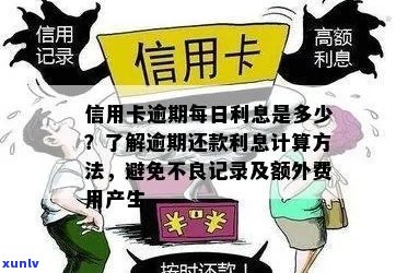 信用卡逾期后每日还款：是否会产生不利影响？