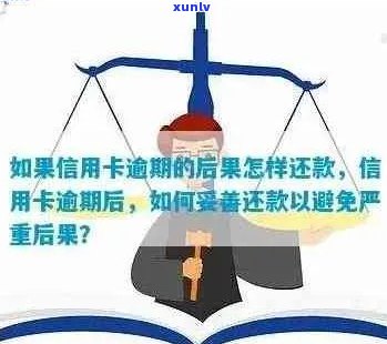 信用卡还款逾期：对公司账户可能产生的影响及应对策略