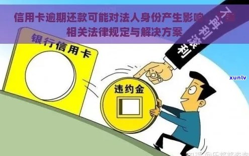 信用卡逾期记录对公司法人的影响及其解决策略：详细解析与建议