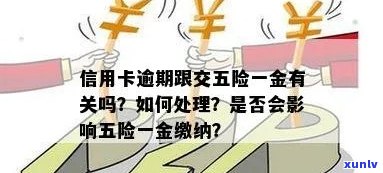 信用卡逾期会影响公司五险吗？如何处理？逾期会对工作产生影响吗？