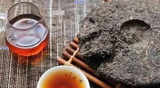 上班喝普洱茶好不好喝：怎样搭配更适宜？