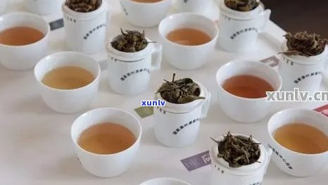 上班喝普洱茶好不好喝：怎样搭配更适宜？