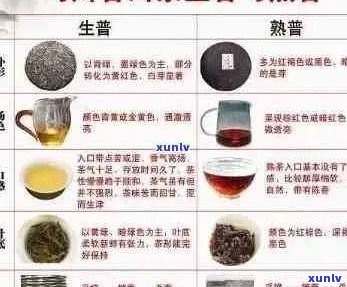 普洱茶的品鉴、冲泡与功效：全面解析与实践指南