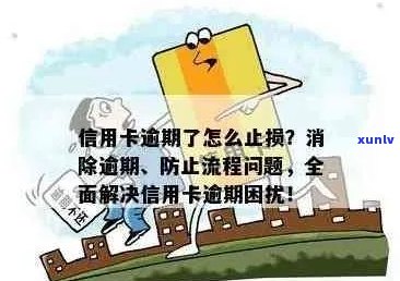 信用卡逾期困境：全面自救策略与实用建议解析