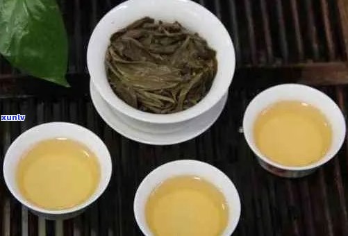 普洱茶回味好不好：品味与闻香的完美结合