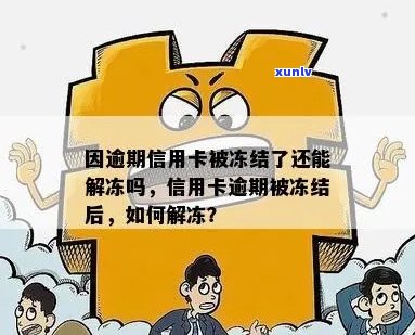 逾期信用卡被冻结后如何解冻？解决 *** 全解析