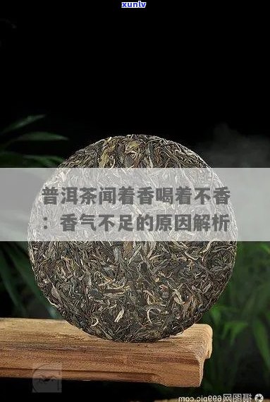 普洱茶闻着香喝着不香-普洱茶闻着香喝着不香怎么回事