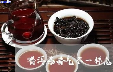 普洱茶闻着香喝着不香-普洱茶闻着香喝着不香怎么回事