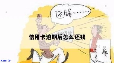 信用卡逾期还钱什么办