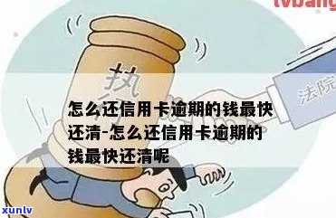 信用卡逾期还钱什么办