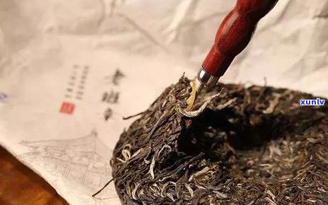 喝生普洱茶的人性格如何：探究饮用生普洱对个性的影响