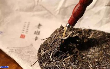 喝生普洱茶的人性格如何：探究饮用生普洱对个性的影响