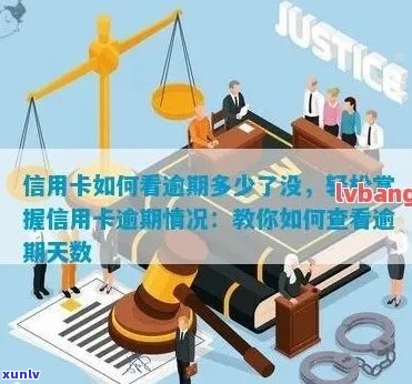 怎么看信用卡是否逾期-怎么看信用卡是否逾期过