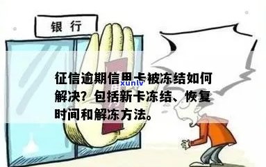 逾期后信用卡被冻结如何解冻？恢复时间以及处理建议