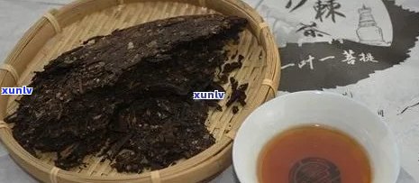 普洱茶与葚干搭配泡水喝的健效益及注意事项