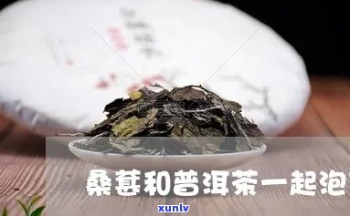 普洱茶能加葚泡吗