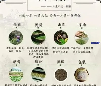 普洱茶煮制指南：茶水比例、浸泡时间与口感调节 *** 全面解析