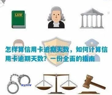 全面解析个人信用卡逾期次数计算 *** ，解决用户所有疑问