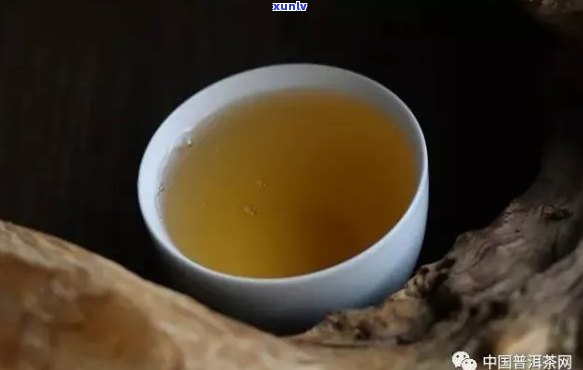 普洱茶用水煮什么比例：好喝的关键与实践