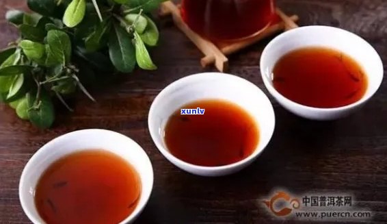 普洱茶用水煮什么比例：好喝的关键与实践