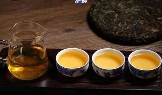 新 普洱茶的神奇魔力：如何让你在喝后感到饥饿？