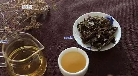 普洱茶的饮用效果及其对饥饿感的影响：一个全面的解析