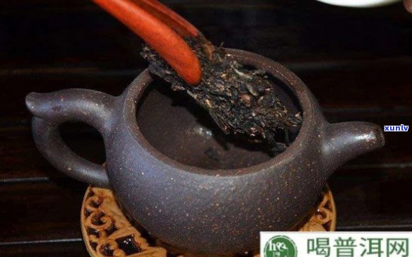 熟普洱茶是煮还是泡