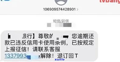 全面解决用户问题：信用卡逾期提醒短信模板的创作与优化指南