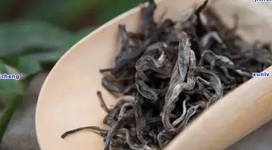 普洱茶茶毛多的品种及普洱茶毛料含义，有毛能喝吗？