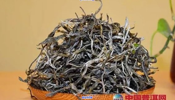 普洱茶茶毛多的品种及普洱茶毛料含义，有毛能喝吗？