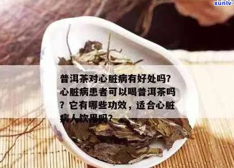 普洱茶的健益处与心脏保护：科学解析与饮用建议