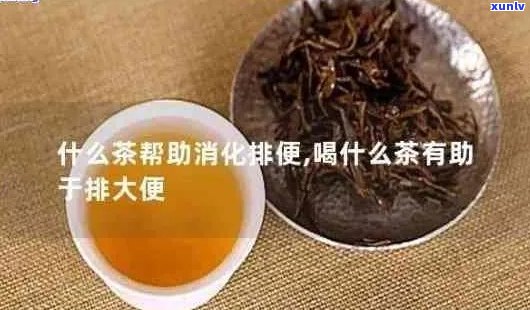 普洱茶饮用后频繁排便问题解决 *** 及注意事项