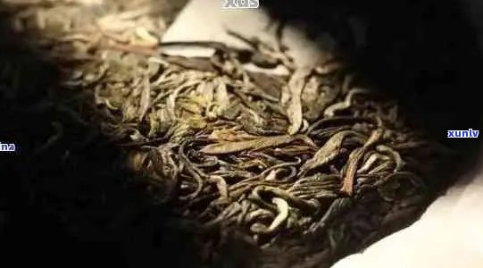 普洱茶陈化时间及其与陈香味的关系：探究何时可品鉴到陈香味