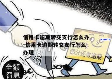 交行信用卡逾期转到属地