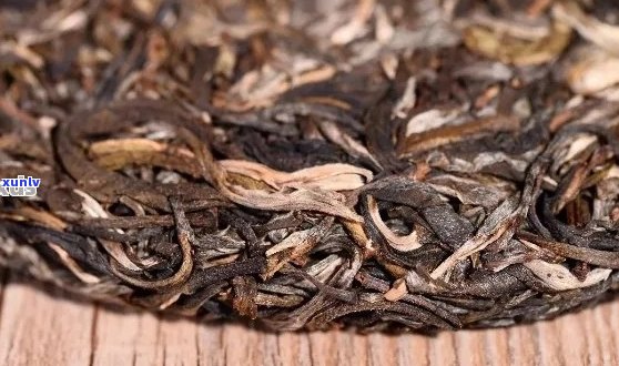 15年普洱茶还能喝吗？为什么？有吗？