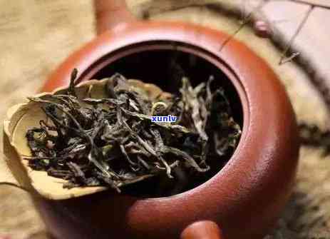 如何判断普洱茶叶是否过期？过期普洱茶叶的处理 *** 及保存技巧