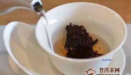 探索普洱茶口感之谜：冲泡 *** 与茶叶品质的关系