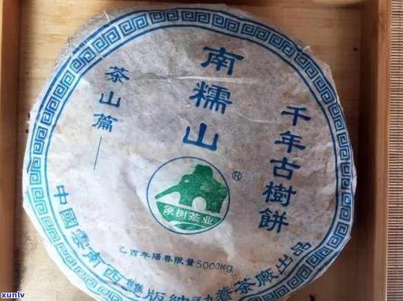 如何提升普洱茶口感？解答您关于普洱茶品鉴的全方位问题