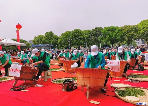 武汉传统手工茶艺开启新元：春尖圆茶大规模生产启动